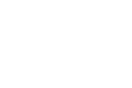 opal logo